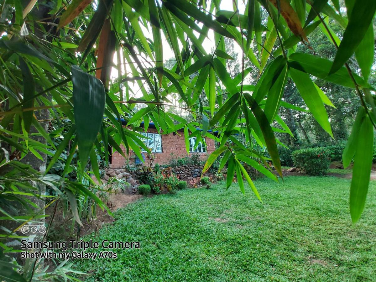 The Dream Apartment Sanivarsante Exterior photo